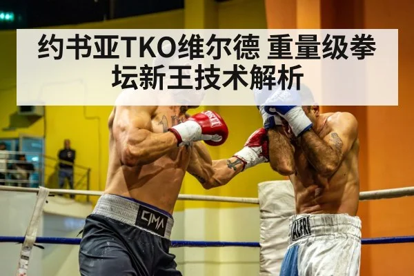约书亚TKO维尔德 重量级拳坛新王技术解析
