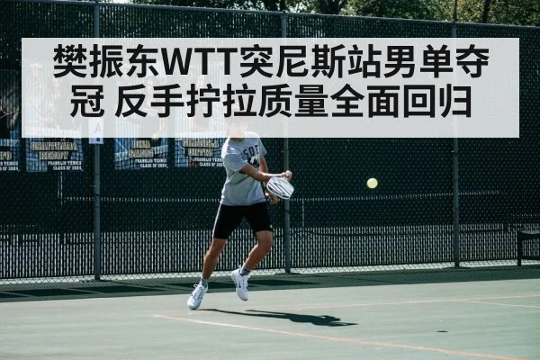 樊振东WTT突尼斯站男单夺冠 反手拧拉质量全面回归
